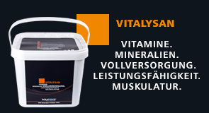 Produkt des Monats: Vitalysan