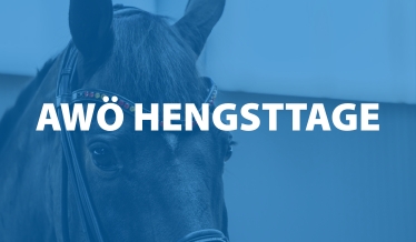 AWÖ Hengsttage