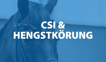 CSI und Hengstkörung