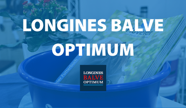 Longines Balve Optimum