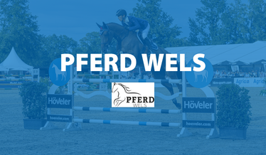 Pferd Wels